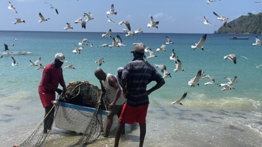 Ein Wiedersehen mit Weltumseglern und zum ersten Mal in Tobago